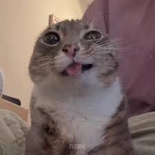 User Display Picture