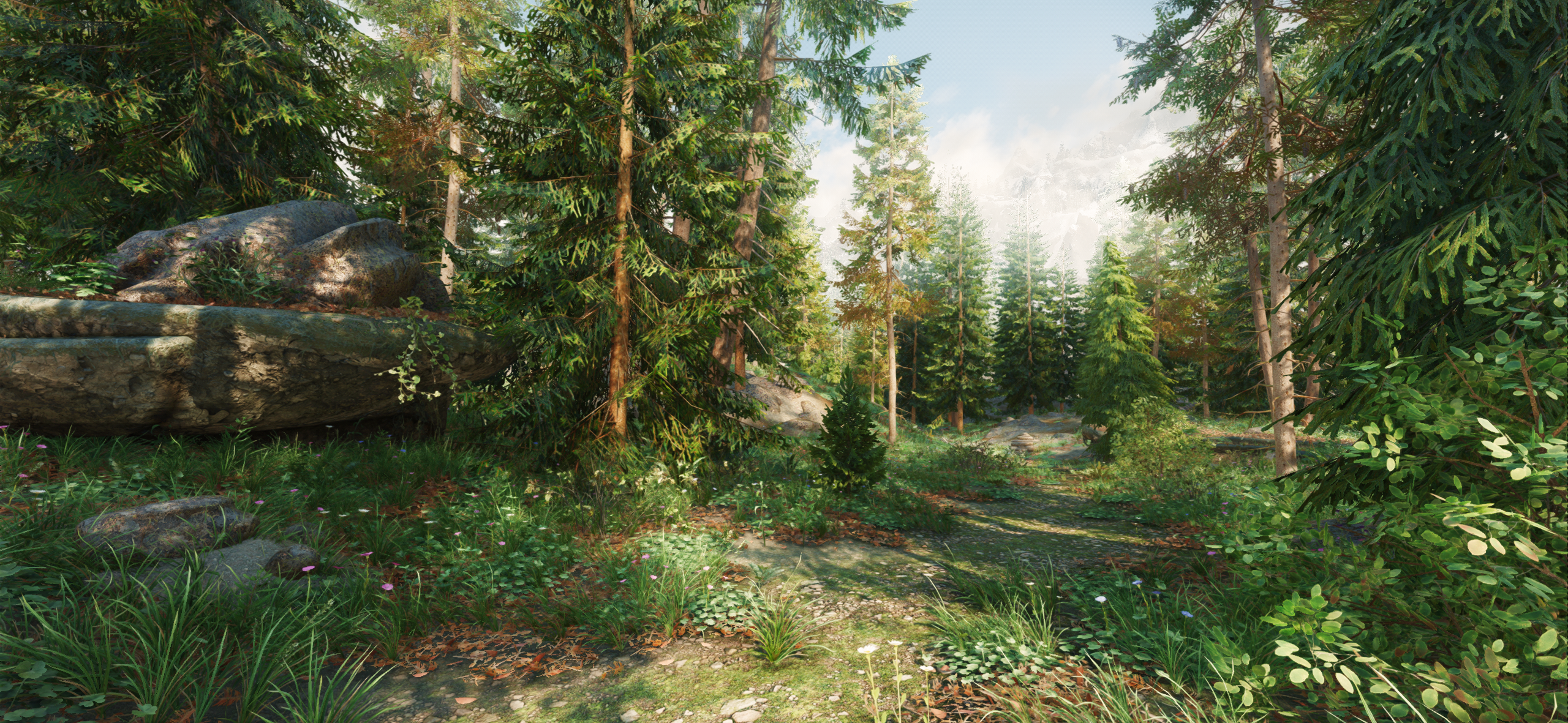 User Display Picture