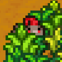 User Display Picture
