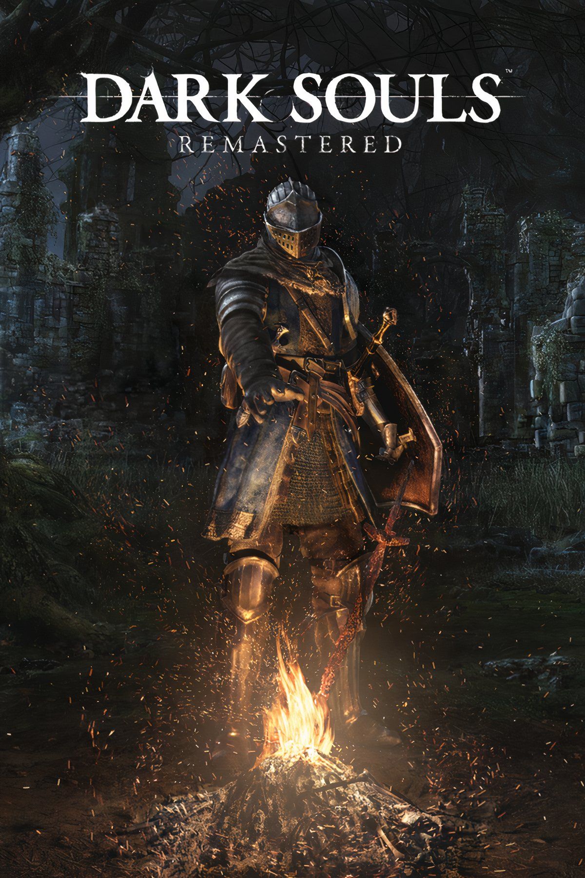Game Image for Dark Souls Remastered