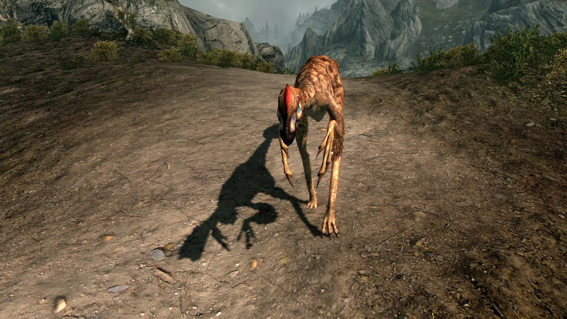 Oviraptors of Skyrim - (Prehistoric Content Series Pt.6) mod for Skyrim