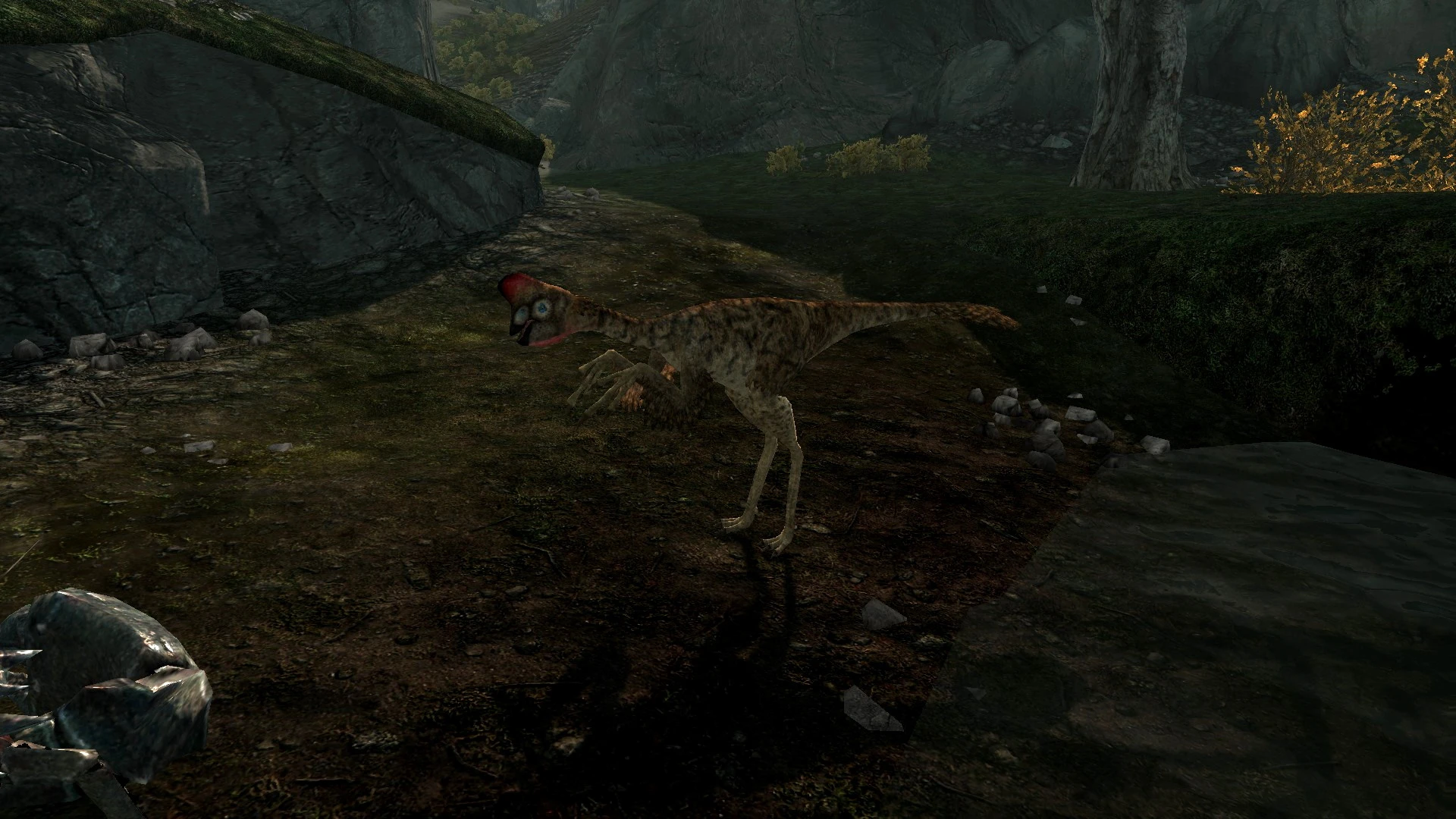 Oviraptors of Skyrim - (Prehistoric Content Series Pt.6) mod for Skyrim