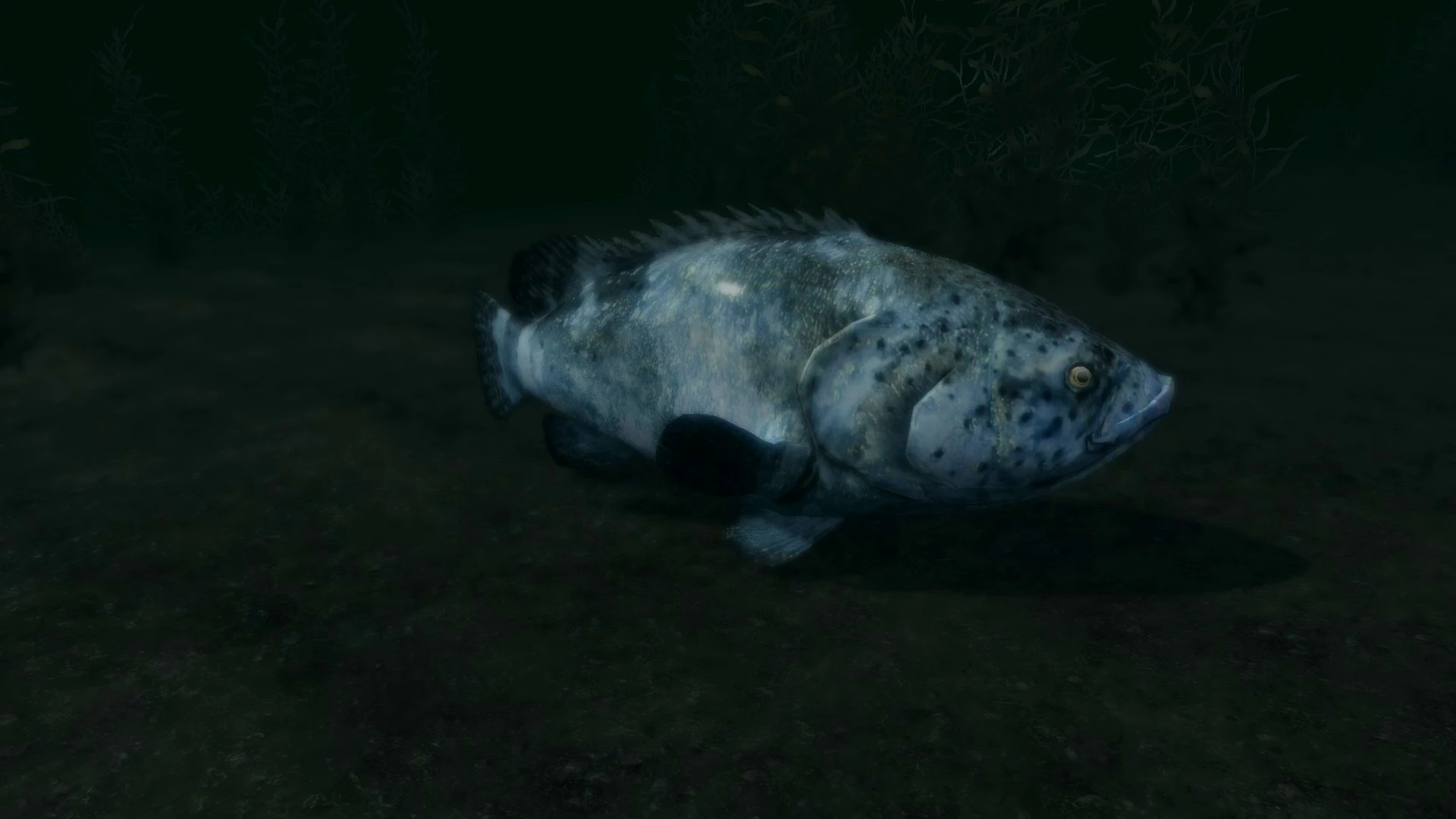 Goliath Groupers - (Animal Series) mod for Skyrim