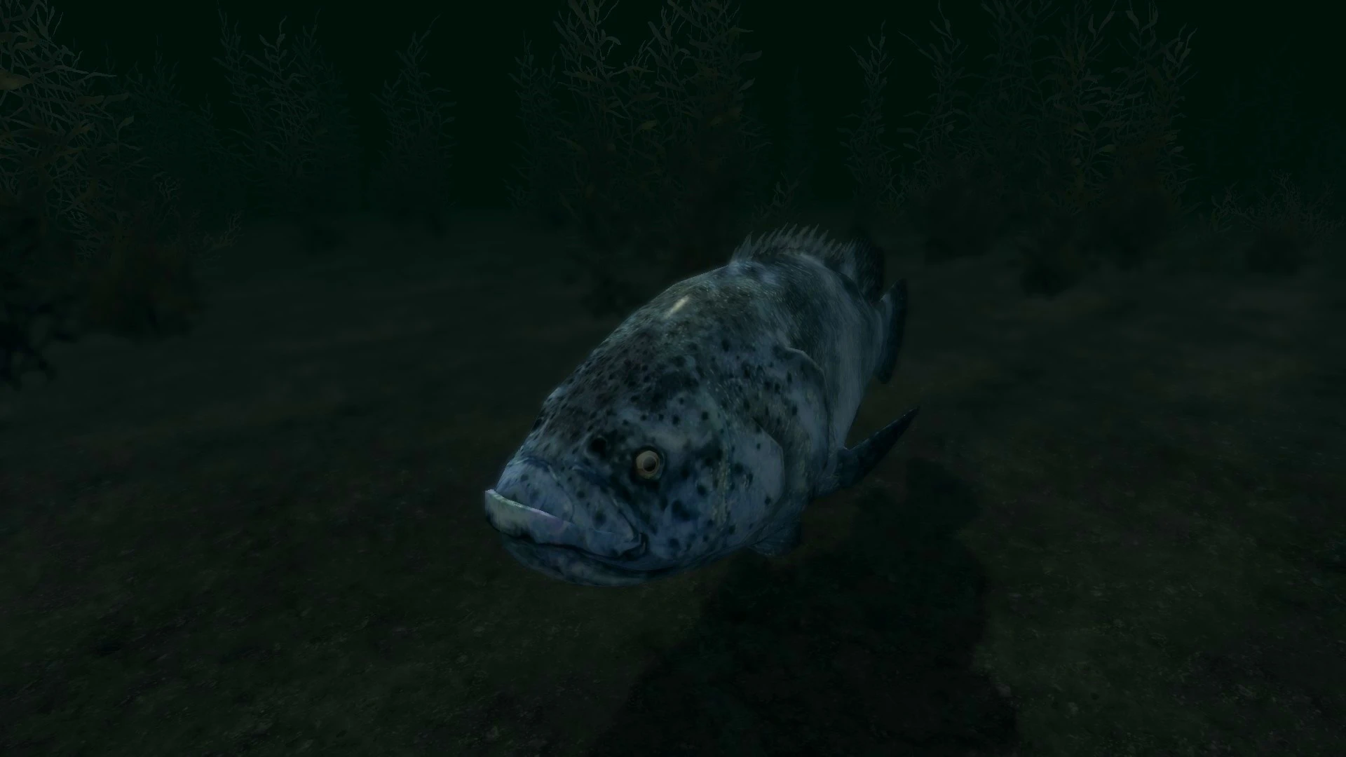 Goliath Groupers - (Animal Series) mod for Skyrim