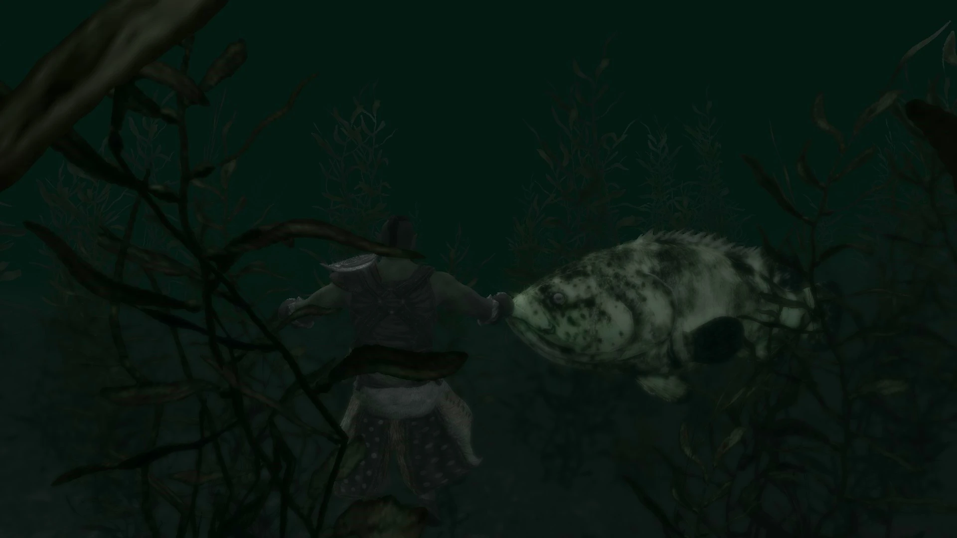Goliath Groupers - (Animal Series) mod for Skyrim