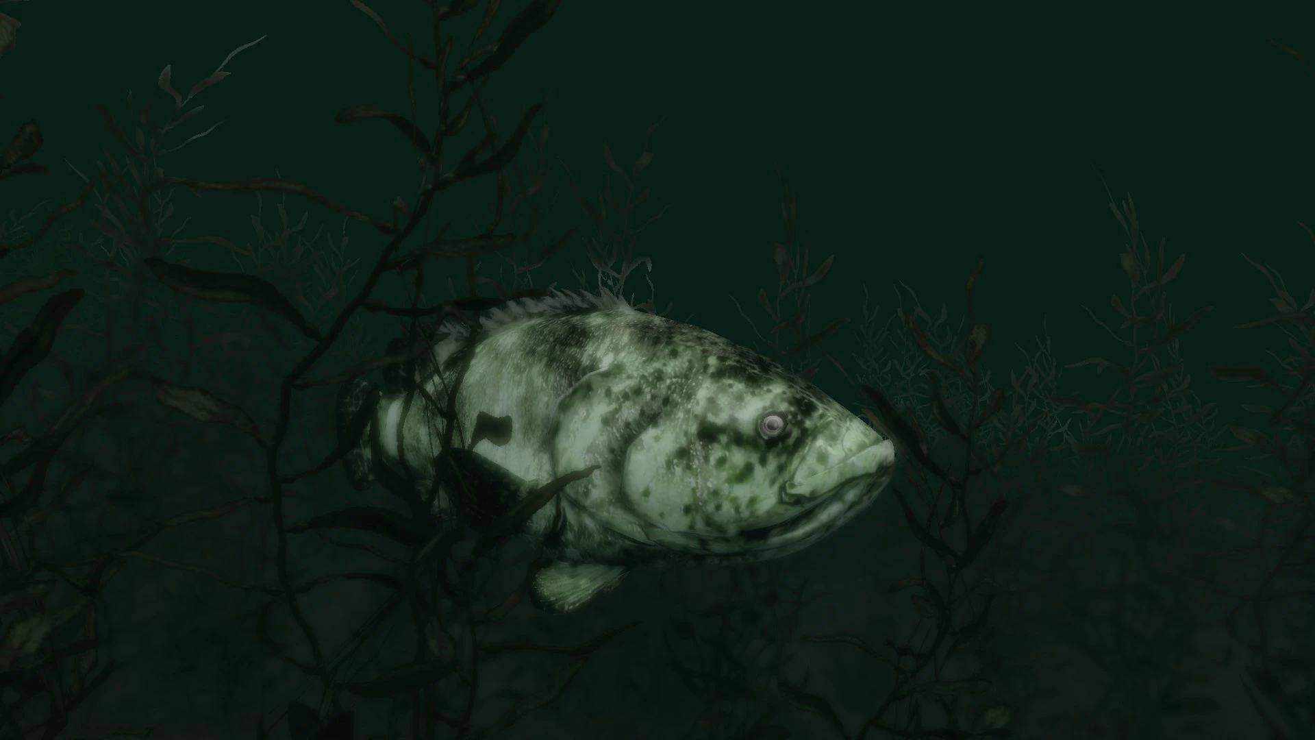 Goliath Groupers - (Animal Series) mod for Skyrim