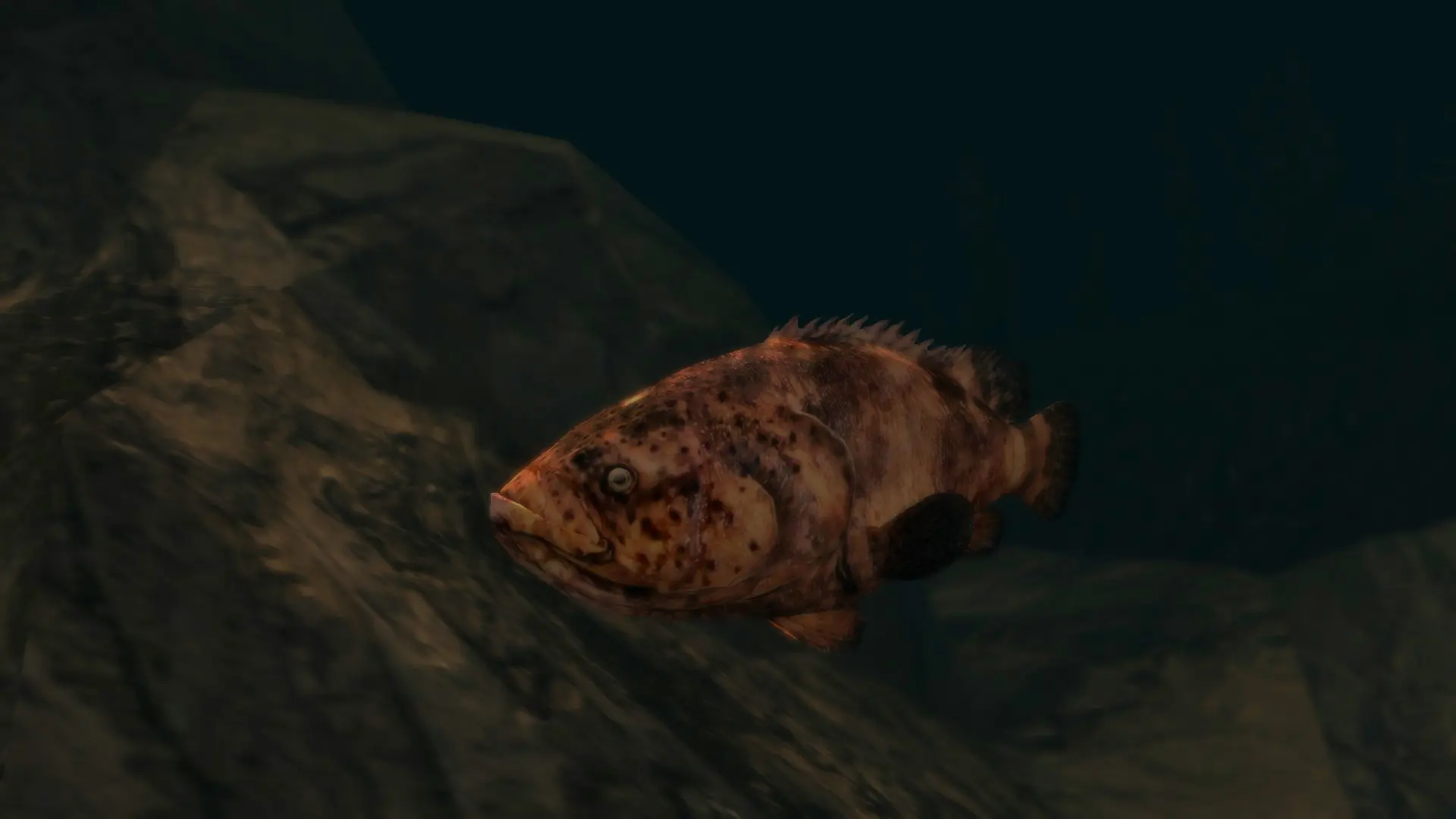 Goliath Groupers - (Animal Series) mod for Skyrim