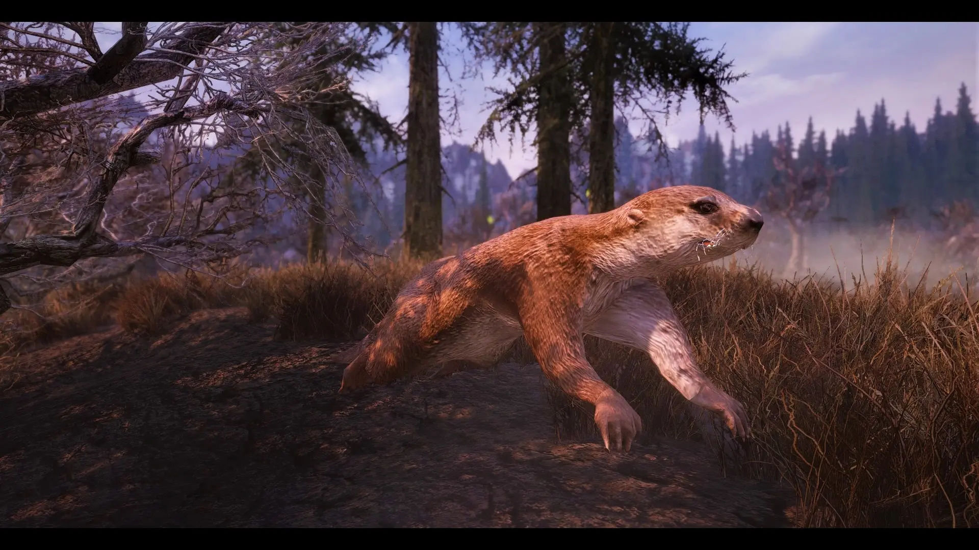 Otters - (Animal Series) mod for Skyrim