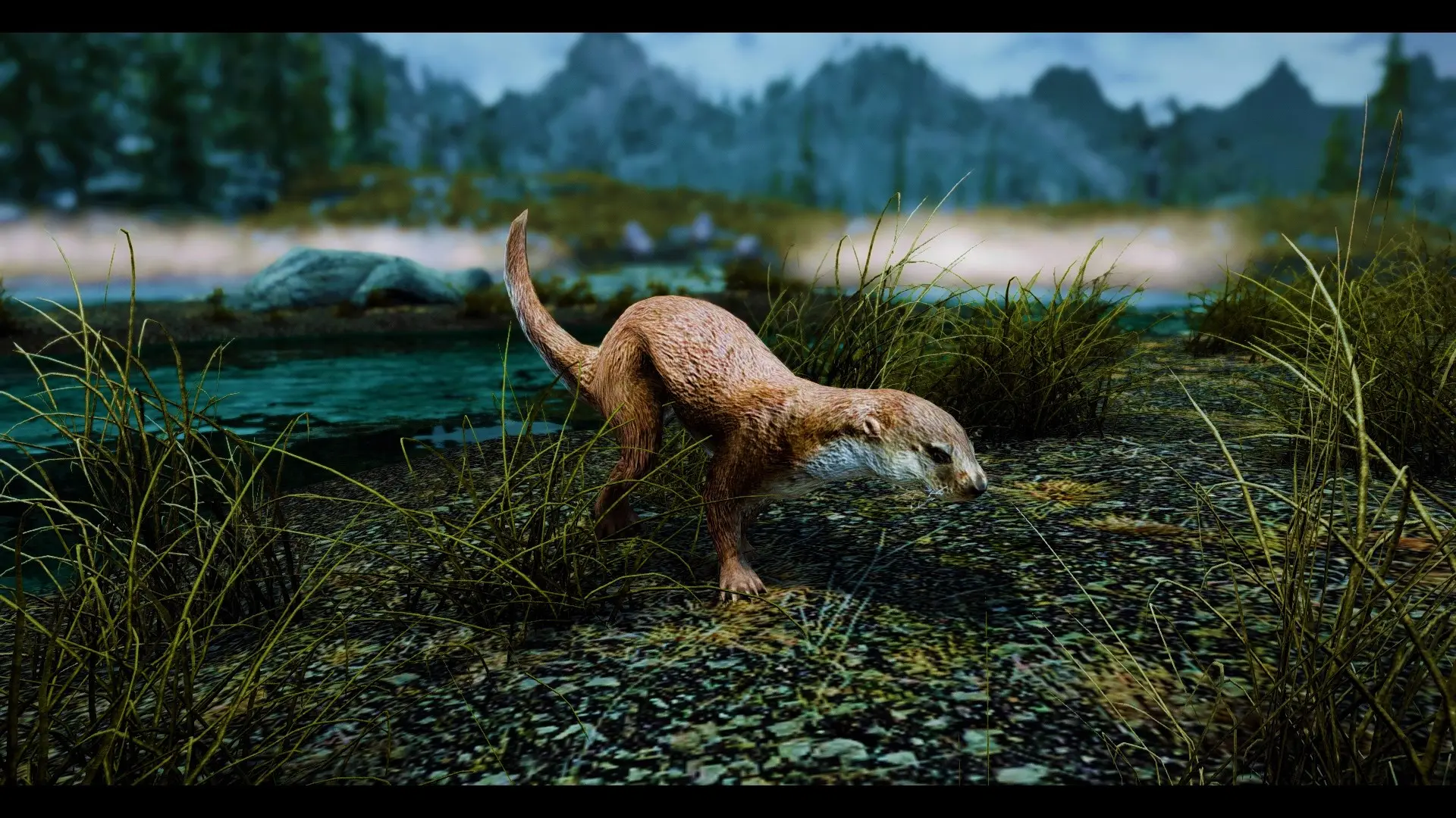 Otters - (Animal Series) mod for Skyrim