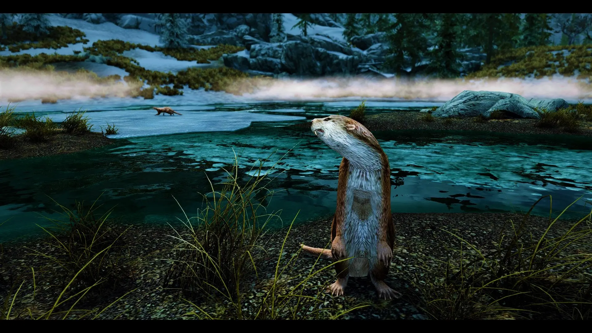 Otters - (Animal Series) mod for Skyrim