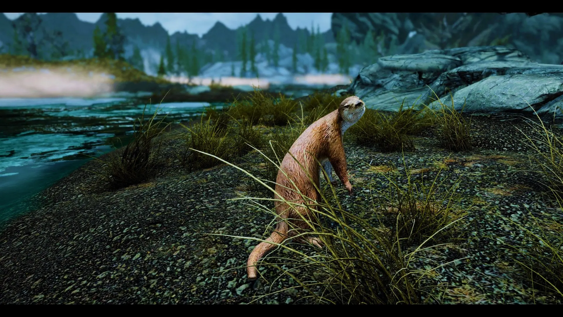Otters - (Animal Series) mod for Skyrim