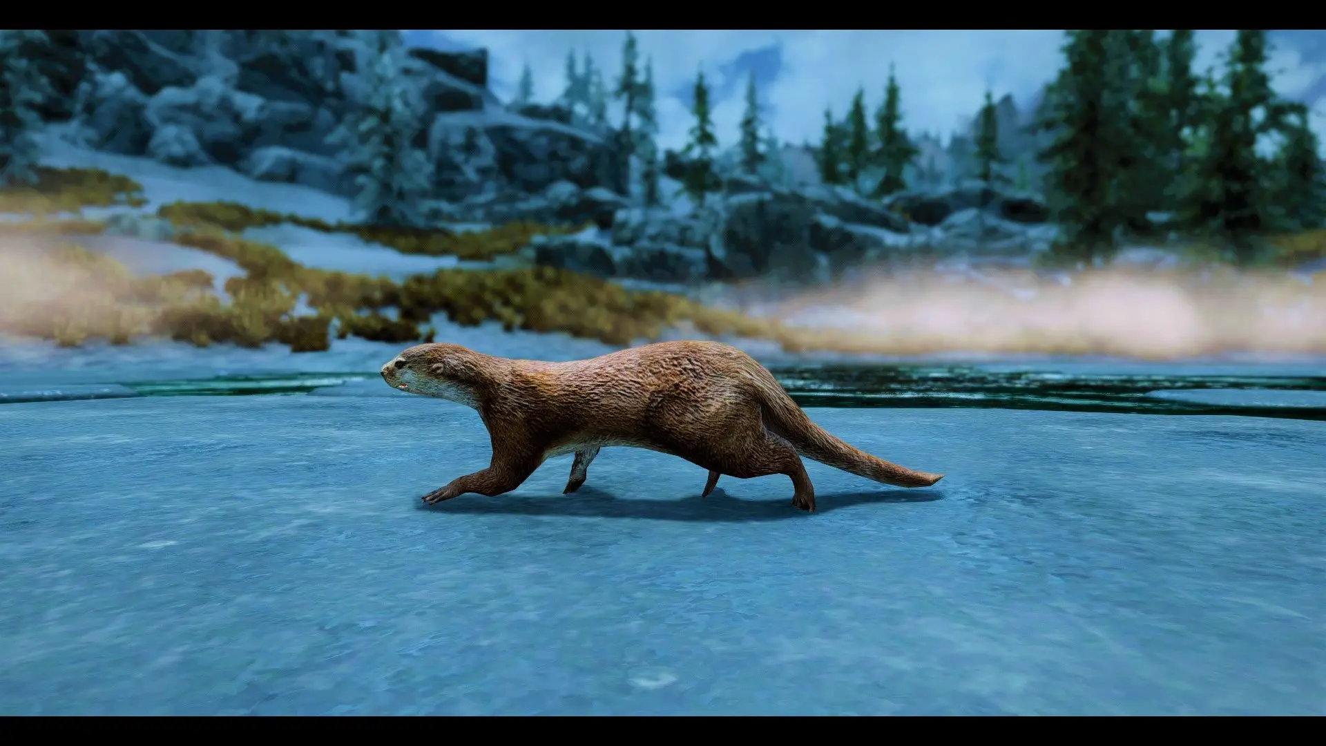 Otters - (Animal Series) mod for Skyrim