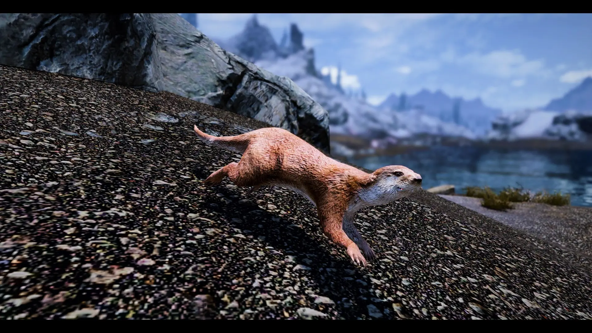 Otters - (Animal Series) mod for Skyrim
