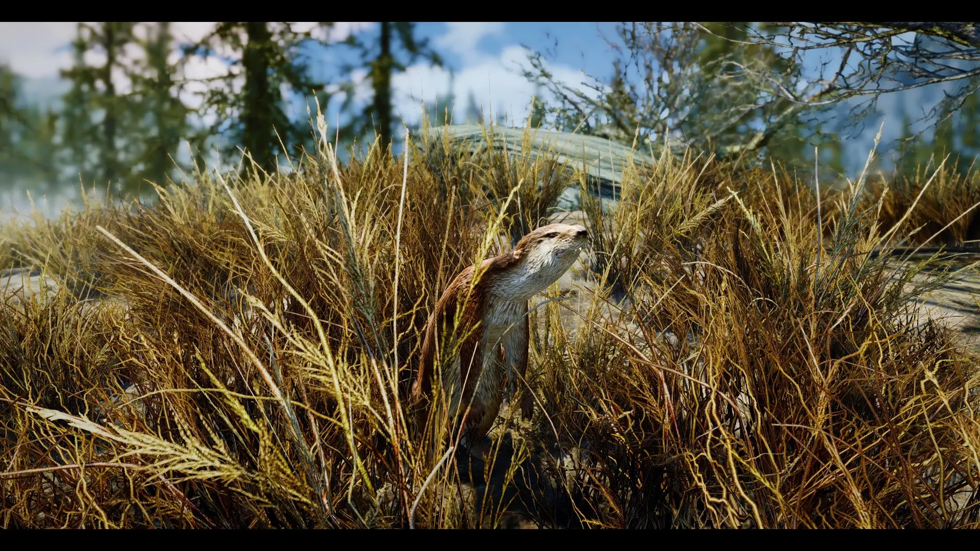 Otters - (Animal Series) mod for Skyrim