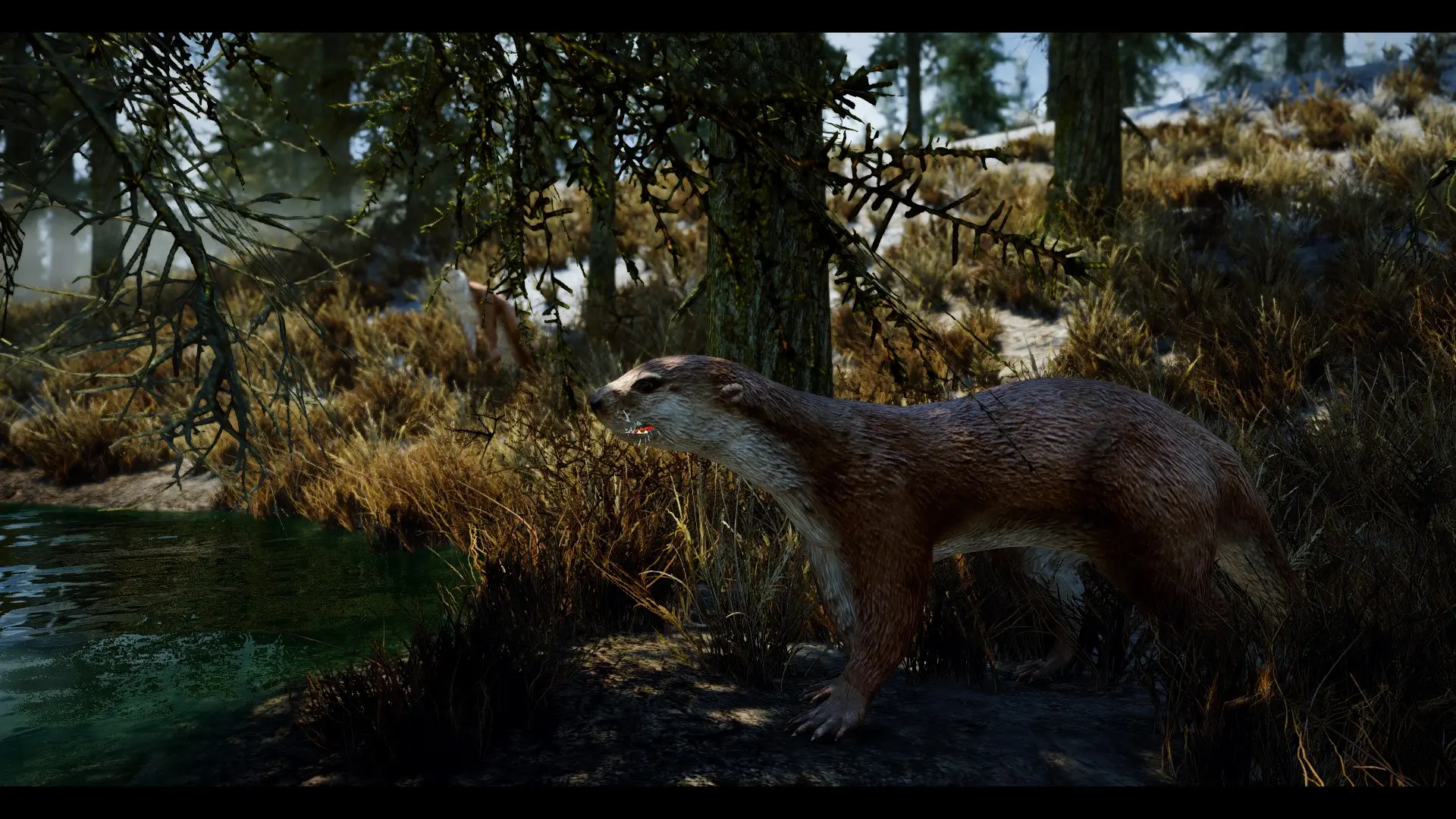 Otters - (Animal Series) mod for Skyrim