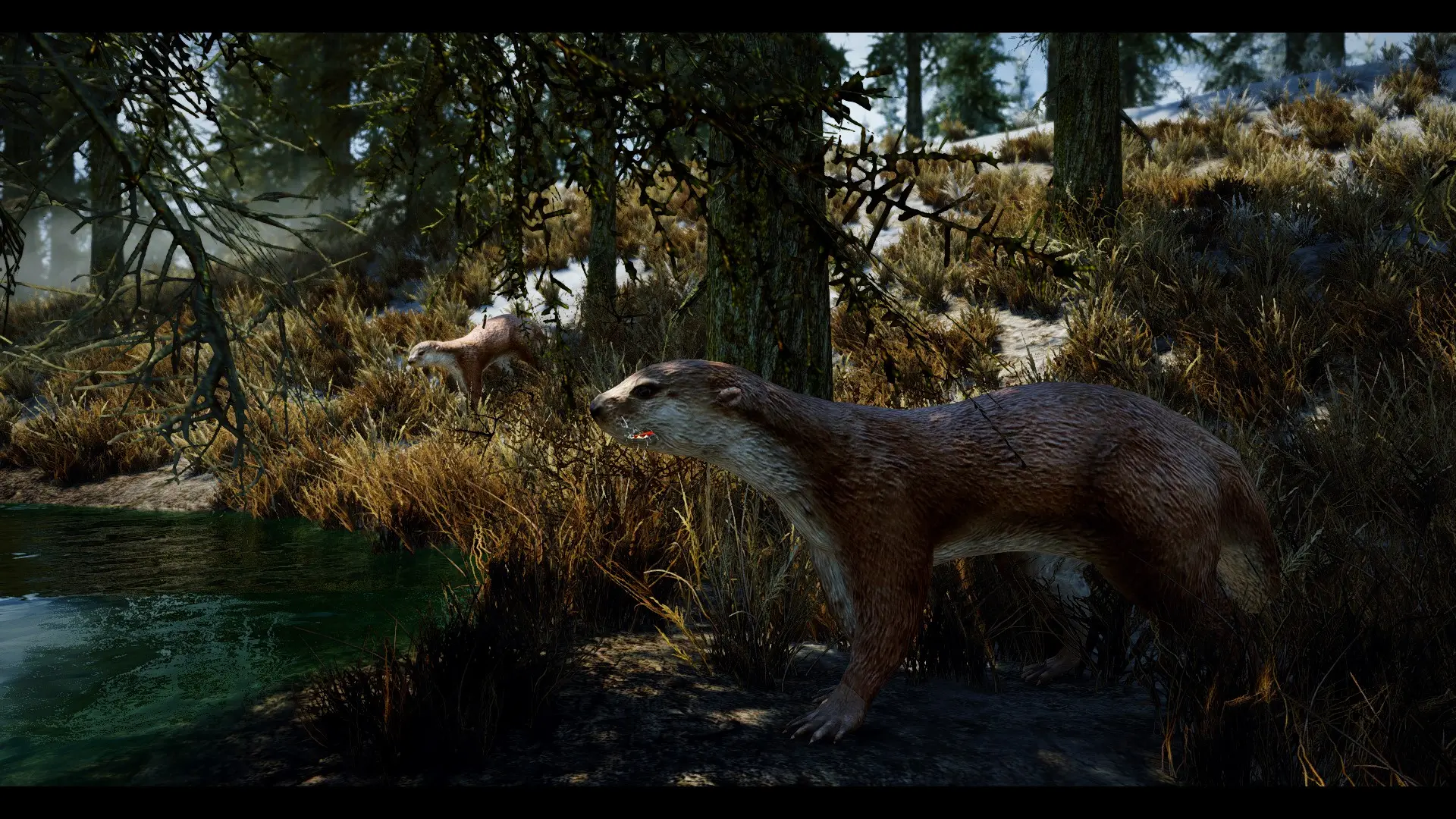 Otters - (Animal Series) mod for Skyrim