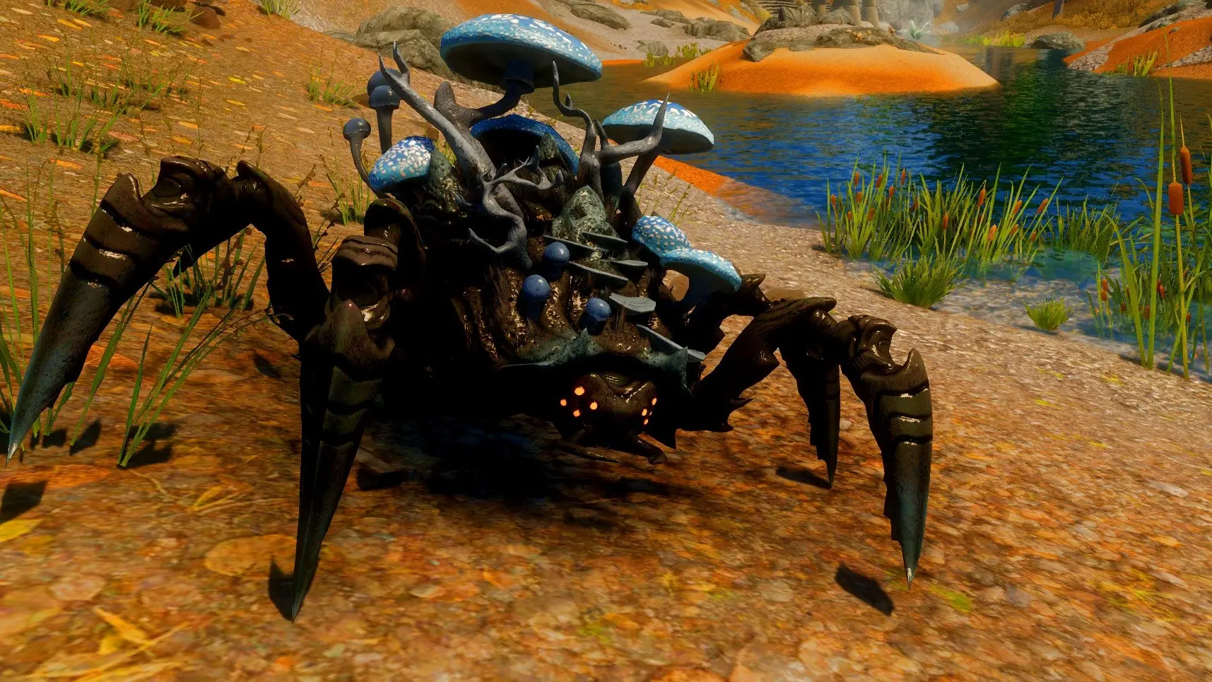 Shroom Beetles (Creature Series pt.6) mod for Skyrim