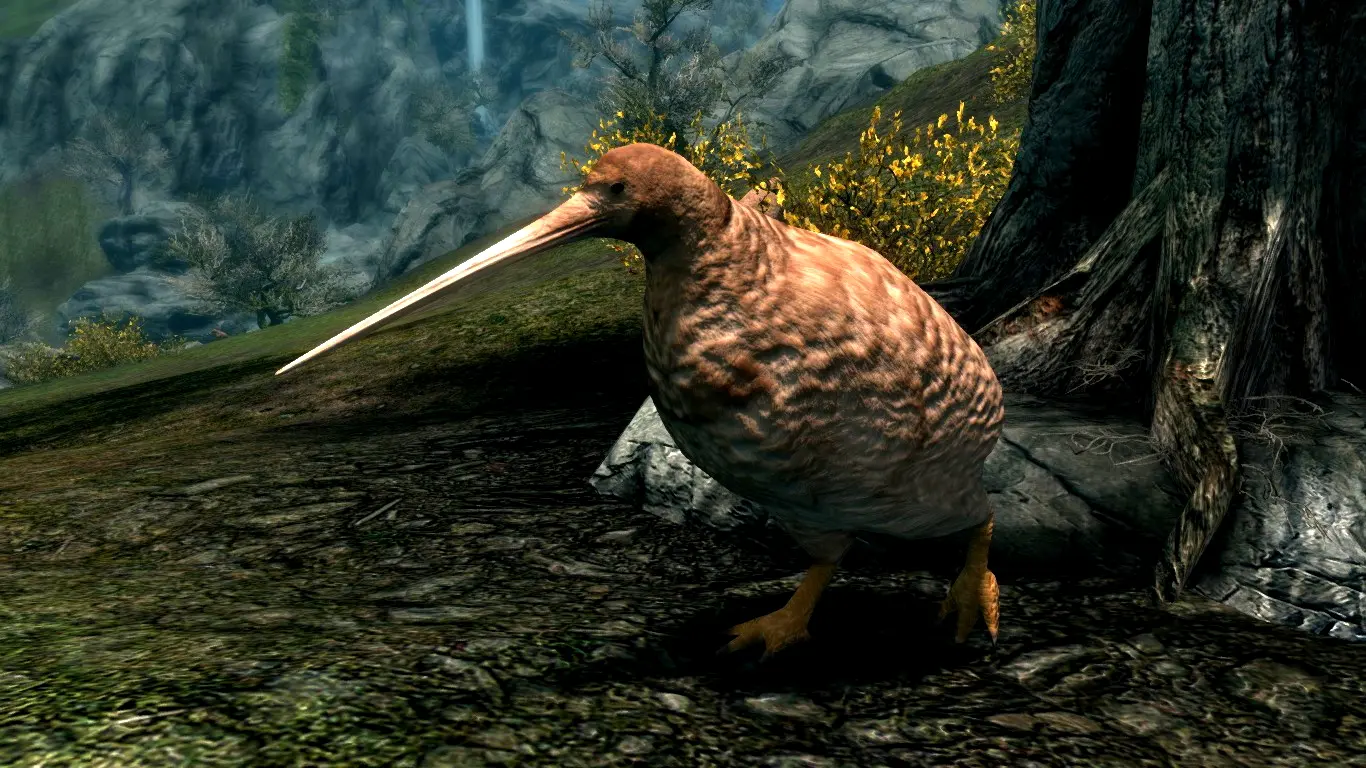 Kiwi Birds (Animal Series) mod for Skyrim