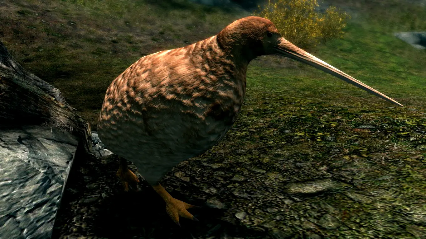 Kiwi Birds (Animal Series) mod for Skyrim