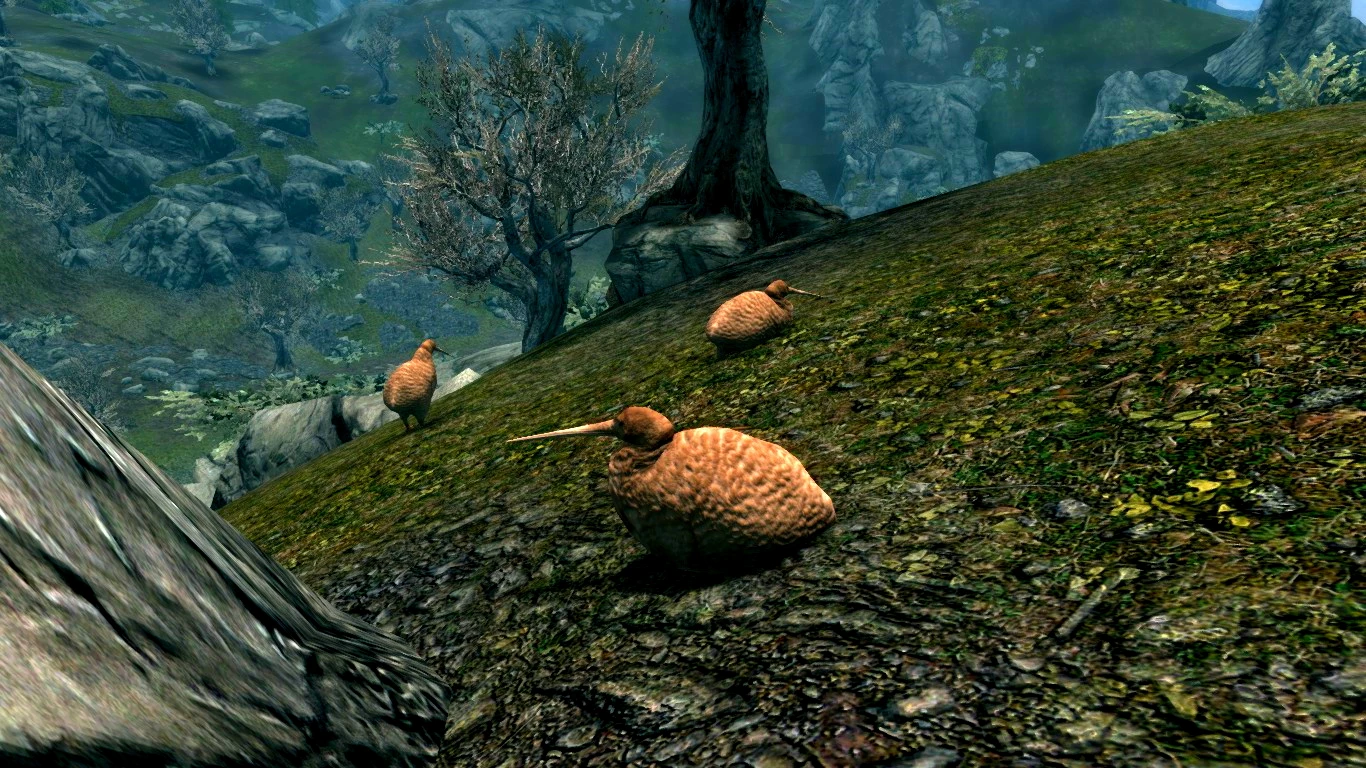 Kiwi Birds (Animal Series) mod for Skyrim