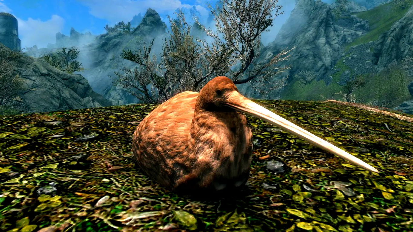 Kiwi Birds (Animal Series) mod for Skyrim