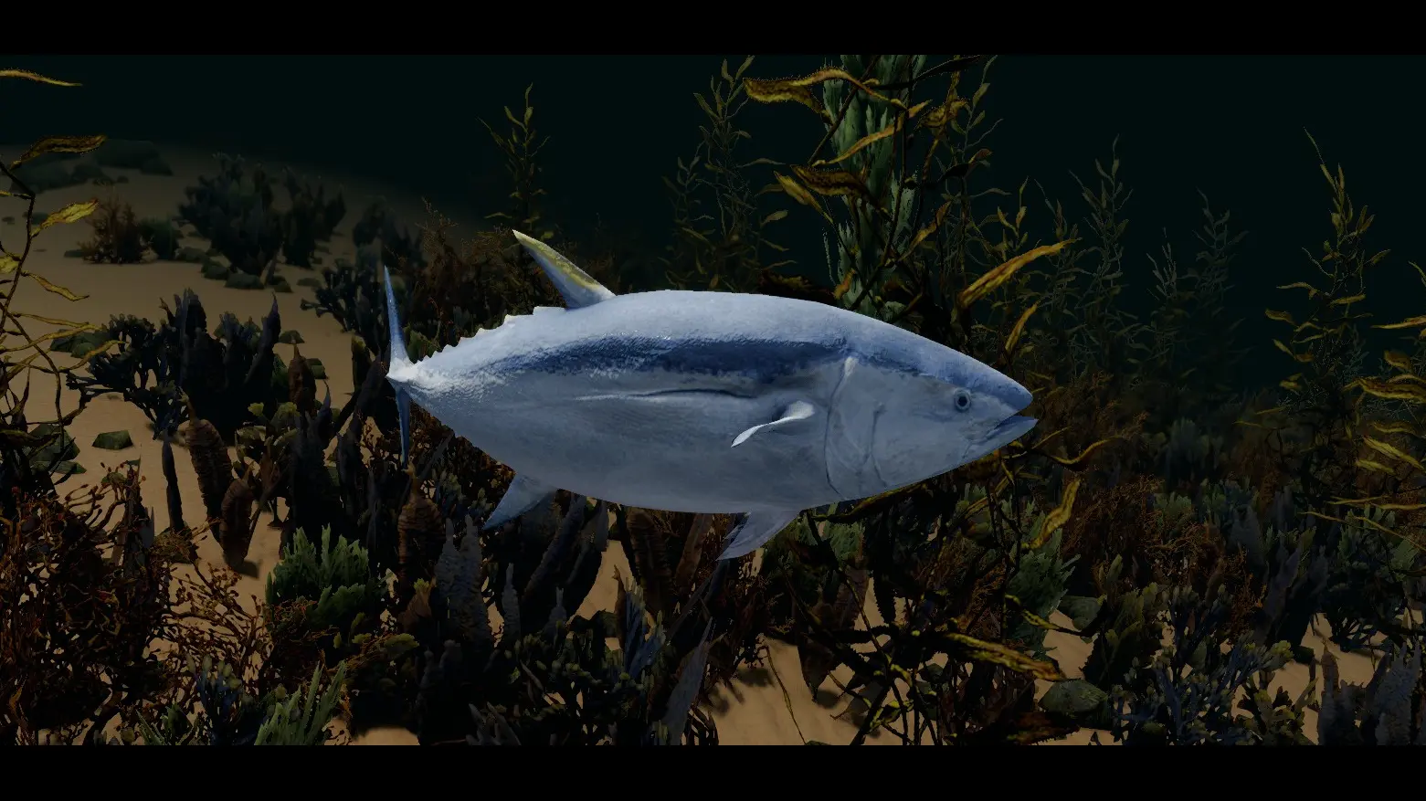 Tuna Fish - (Animal Series) mod for Skyrim