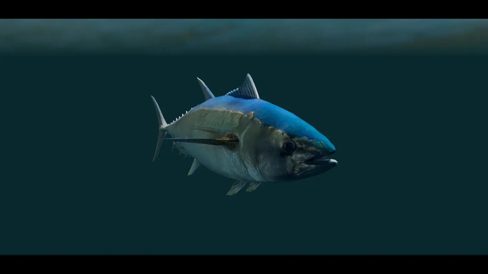 Tuna Fish - (Animal Series) mod for Skyrim