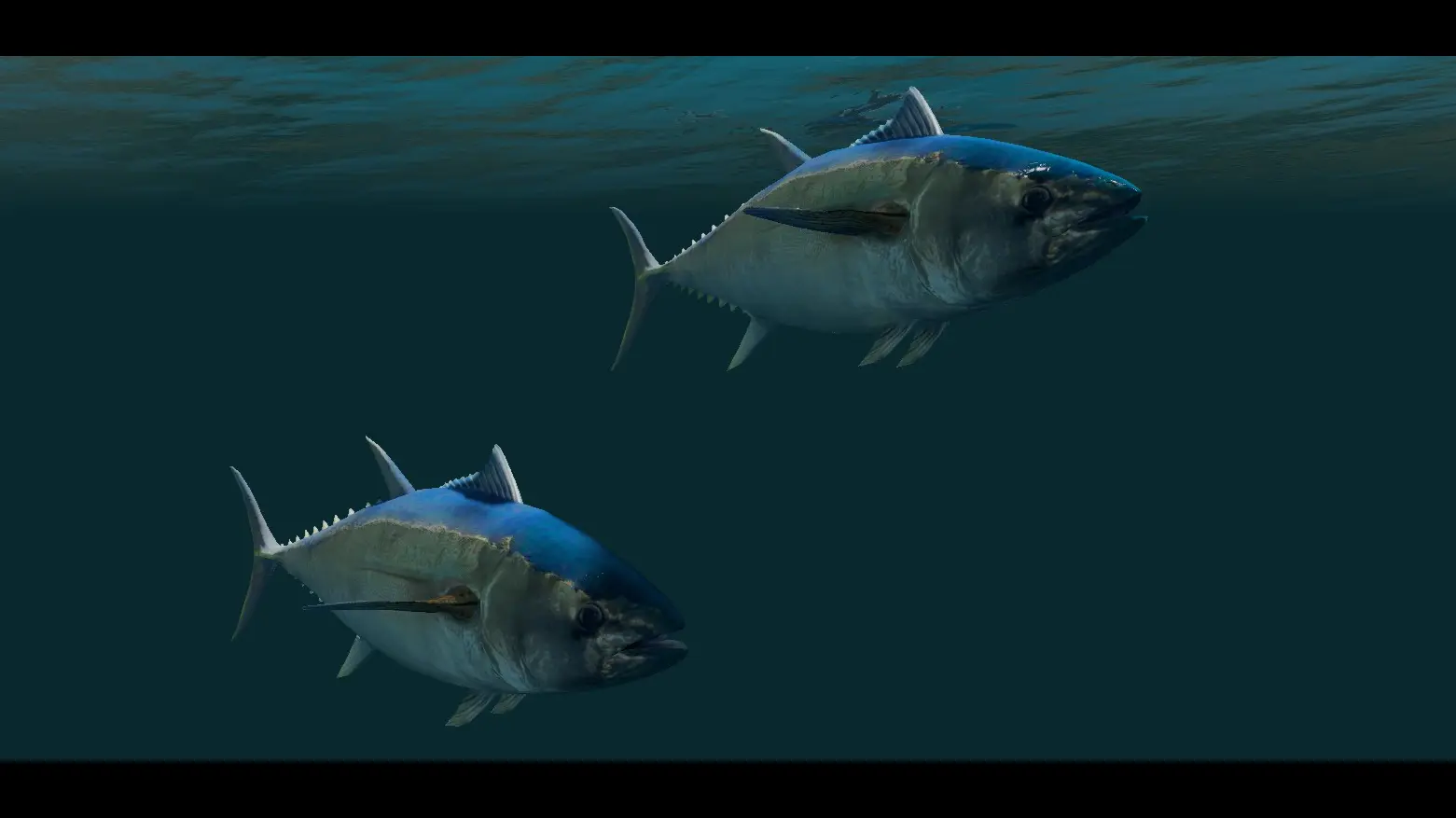 Tuna Fish - (Animal Series) mod for Skyrim