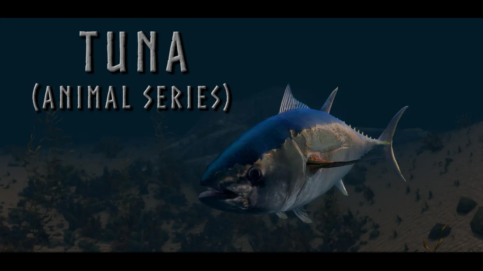 Tuna Fish - (Animal Series) mod for Skyrim