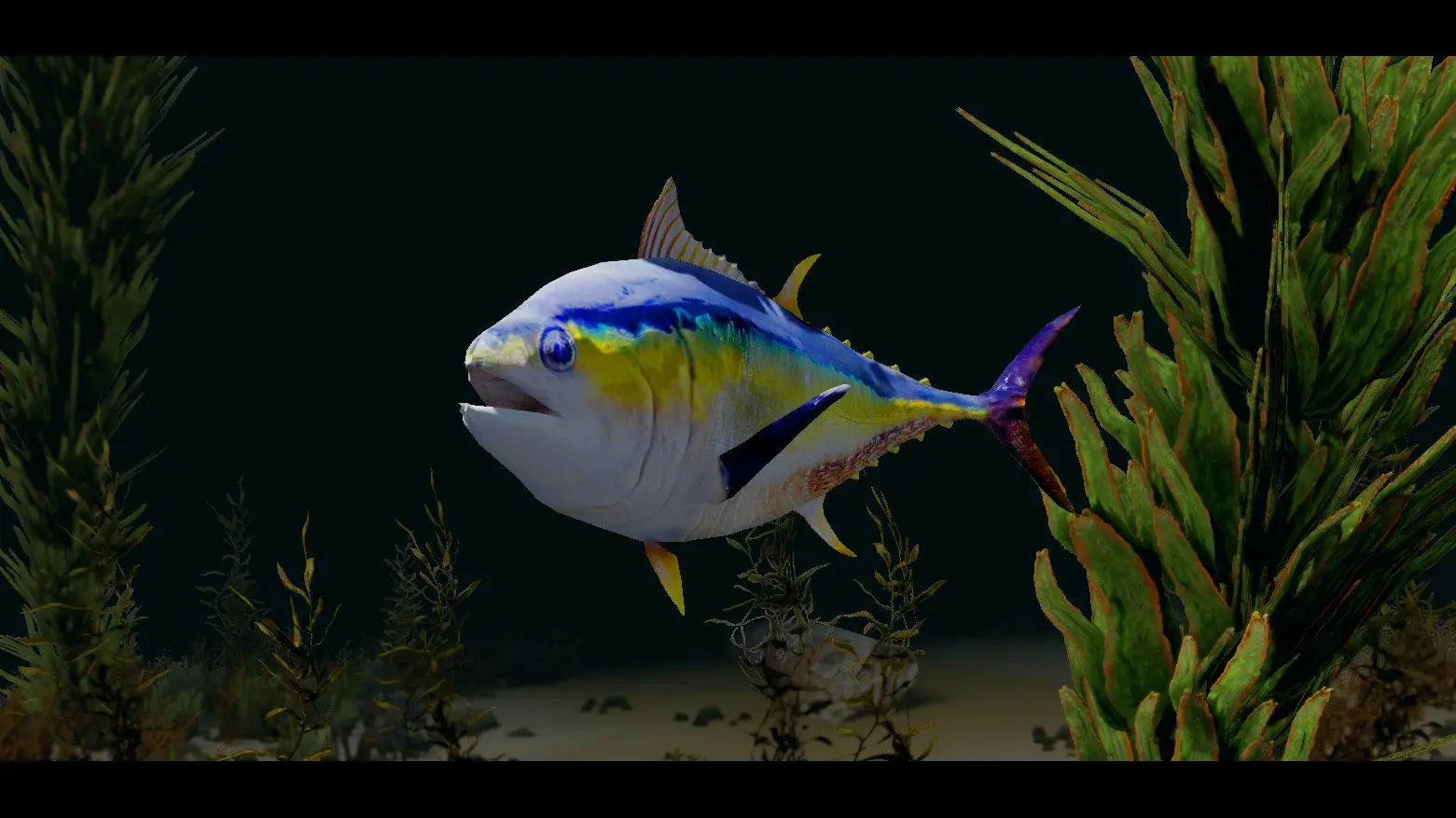 Tuna Fish - (Animal Series) mod for Skyrim
