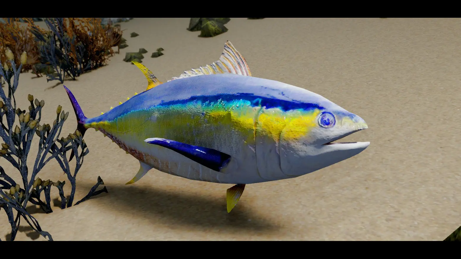 Tuna Fish - (Animal Series) mod for Skyrim