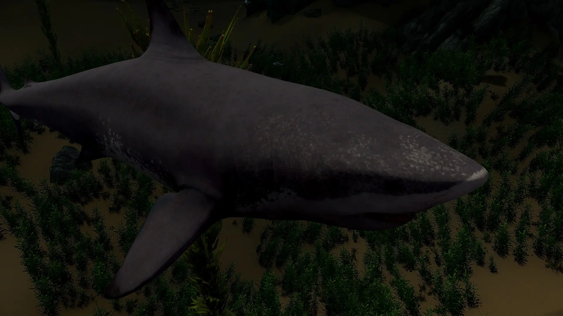 Megalodon - (Prehistoric Content Series Pt.13) mod for Skyrim