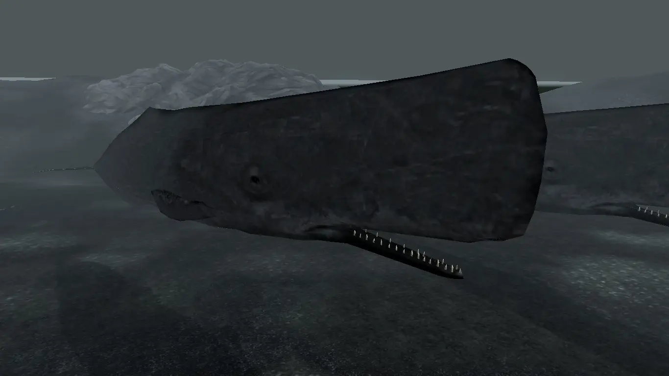 Sperm Whales (Animal Series) mod for Skyrim