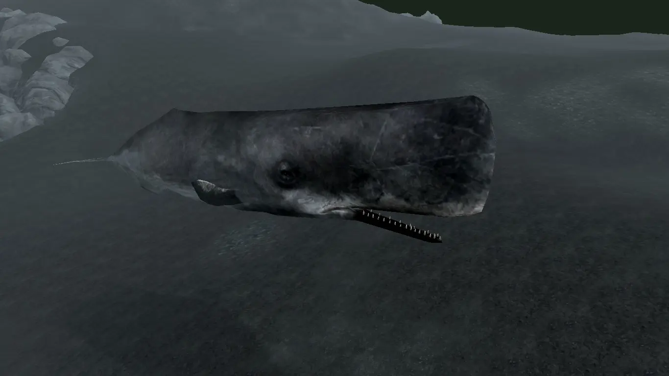 Sperm Whales (Animal Series) mod for Skyrim