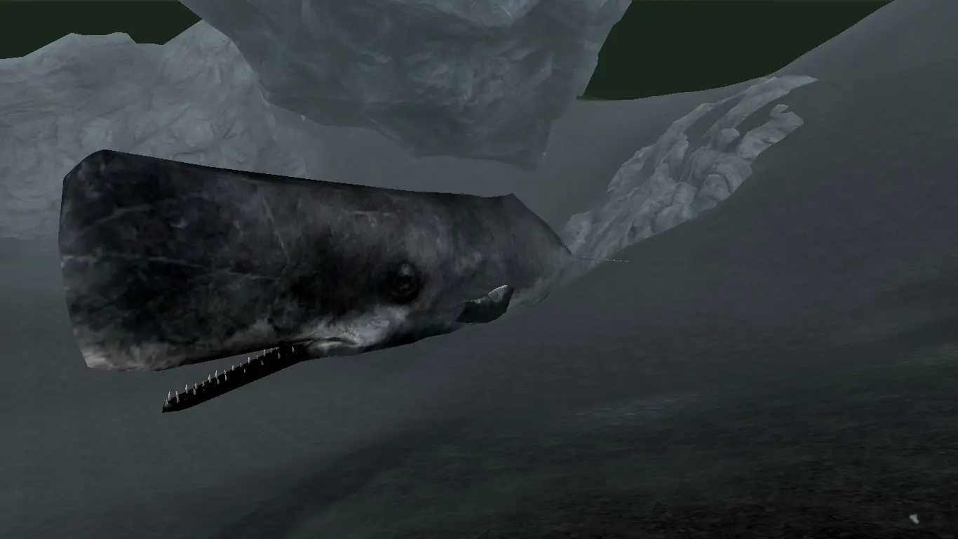 Sperm Whales (Animal Series) mod for Skyrim