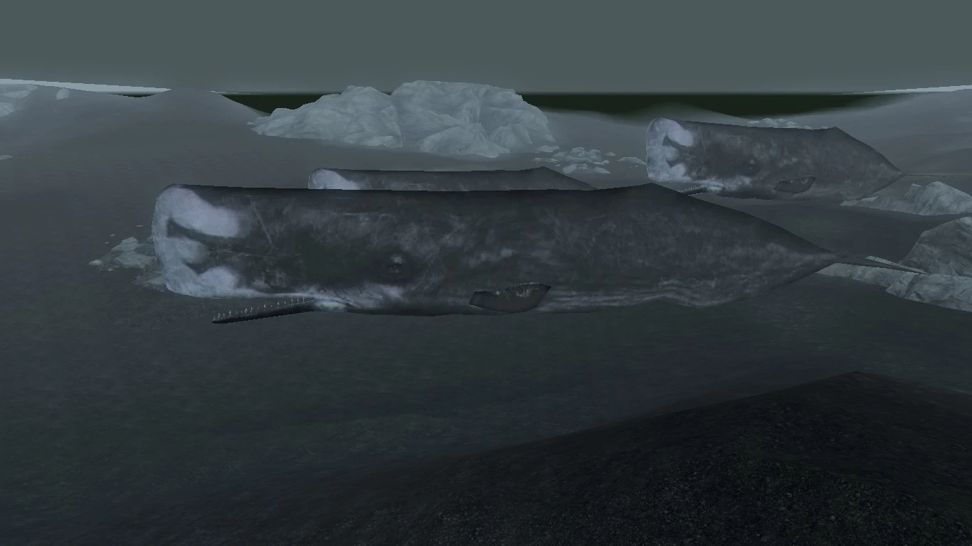Sperm Whales (Animal Series) mod for Skyrim
