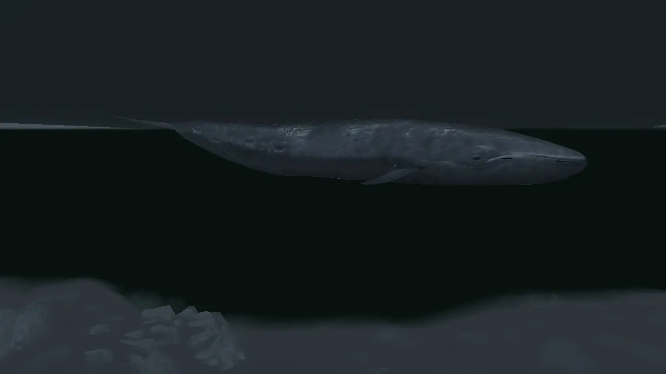 Blue Whales (Animal Series) mod for Skyrim