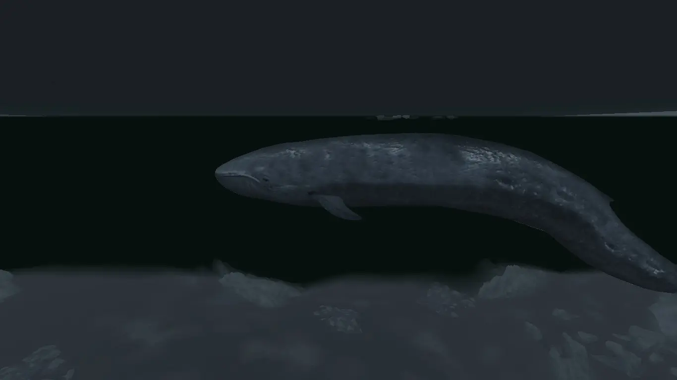 Blue Whales (Animal Series) mod for Skyrim