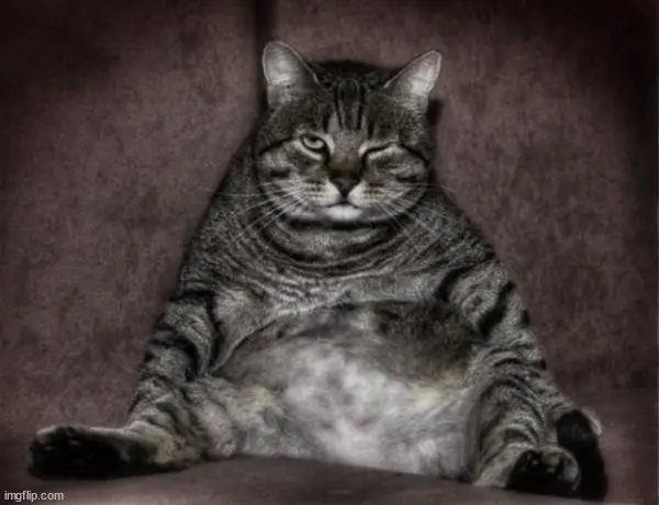 Simonrim - some QoL fix for lazy users. mod for The Elder Scrolls V: Skyrim Special Edition