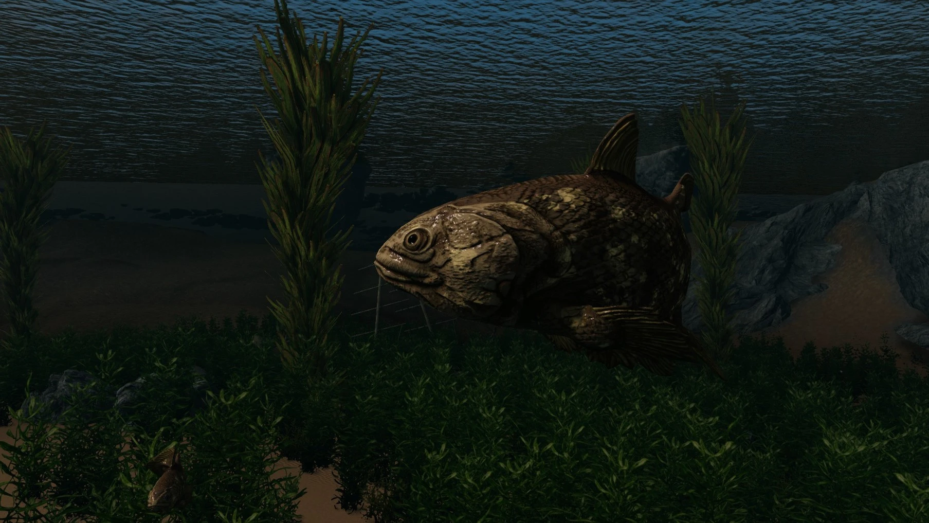 Coelacanth (Prehistoric Content Series Pt.14) mod for Skyrim