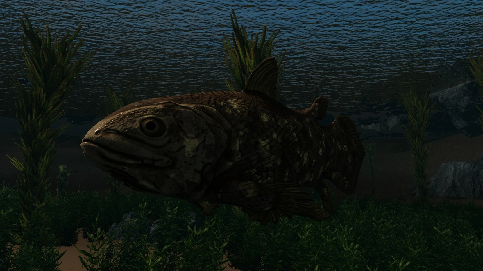 Coelacanth (Prehistoric Content Series Pt.14) mod for Skyrim
