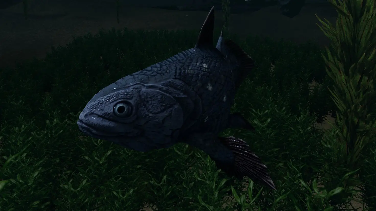 Coelacanth (Prehistoric Content Series Pt.14) mod for Skyrim