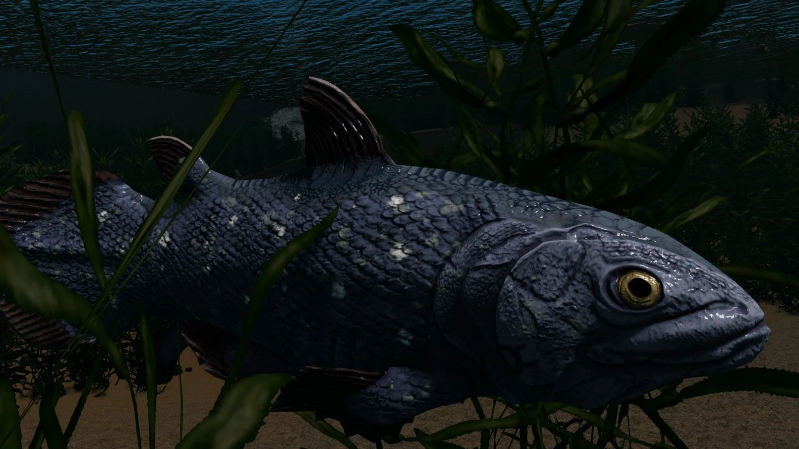 Coelacanth (Prehistoric Content Series Pt.14) mod for Skyrim