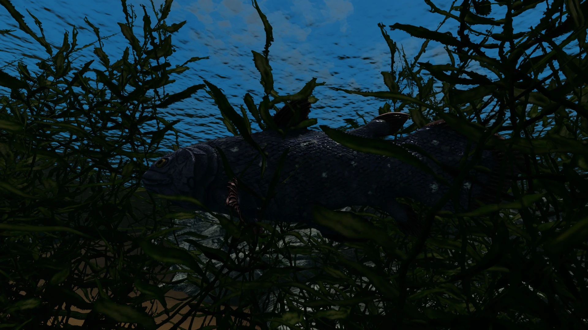 Coelacanth (Prehistoric Content Series Pt.14) mod for Skyrim