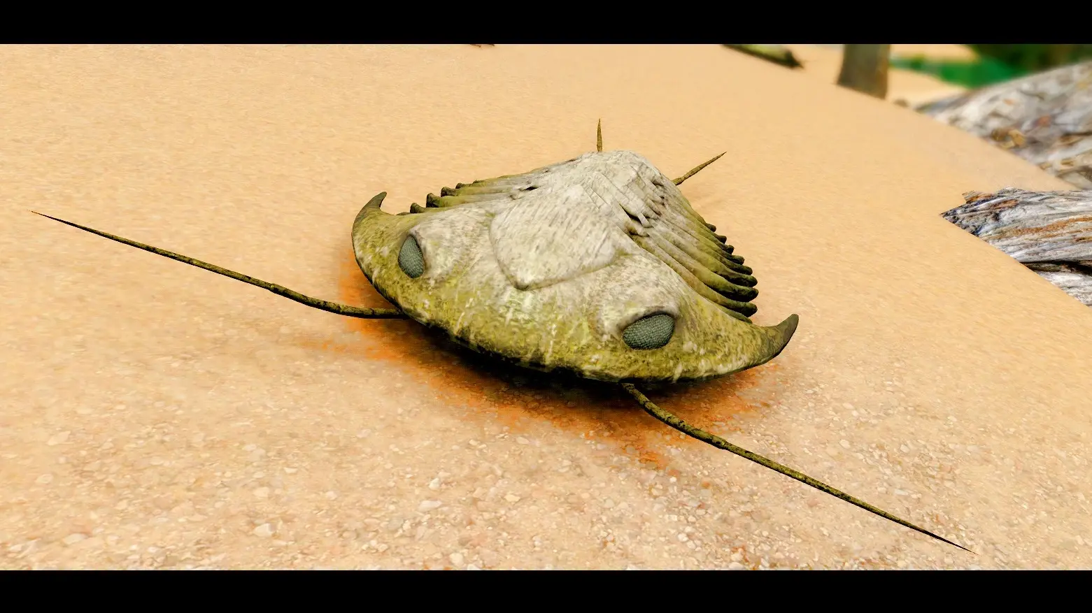 Trilobites (Prehistoric Content Series) mod for Skyrim