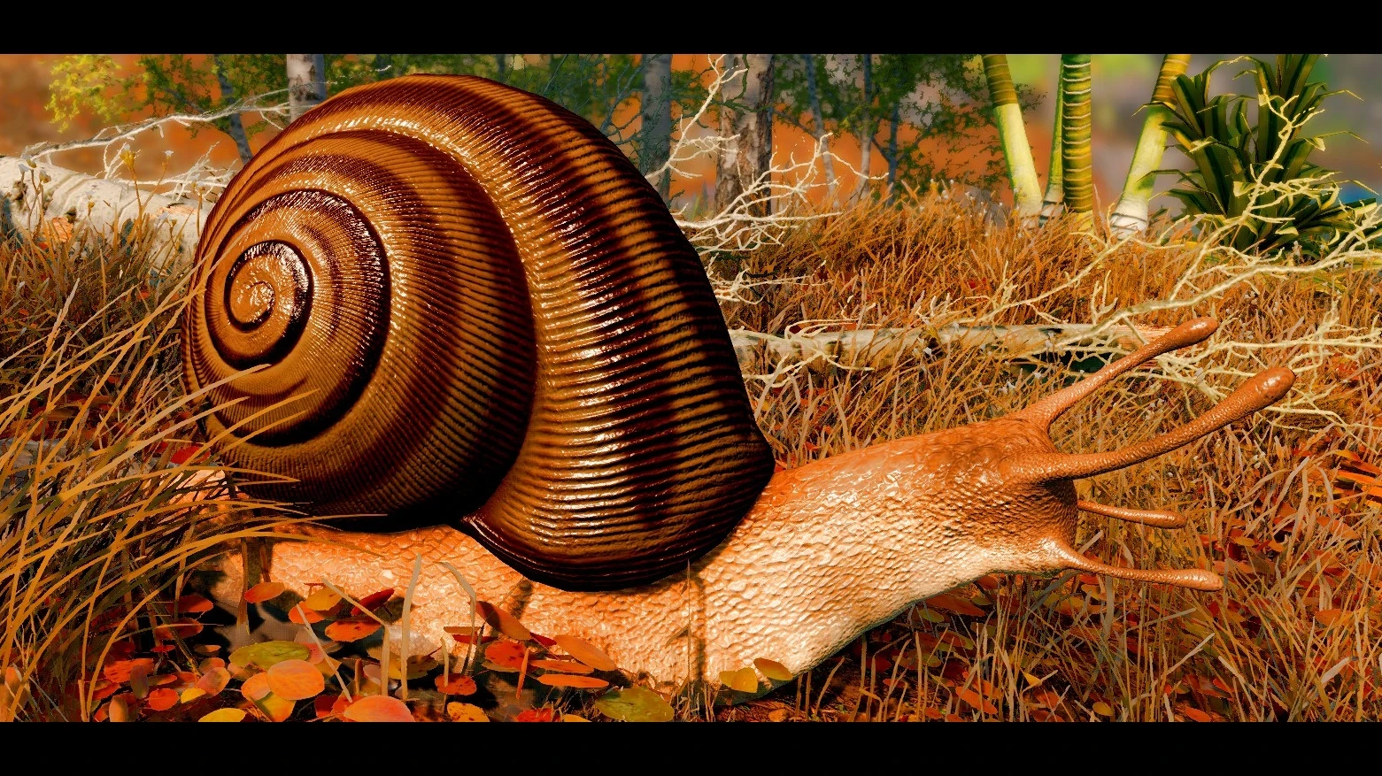 Giant Gastropods (Creature Series) mod for Skyrim