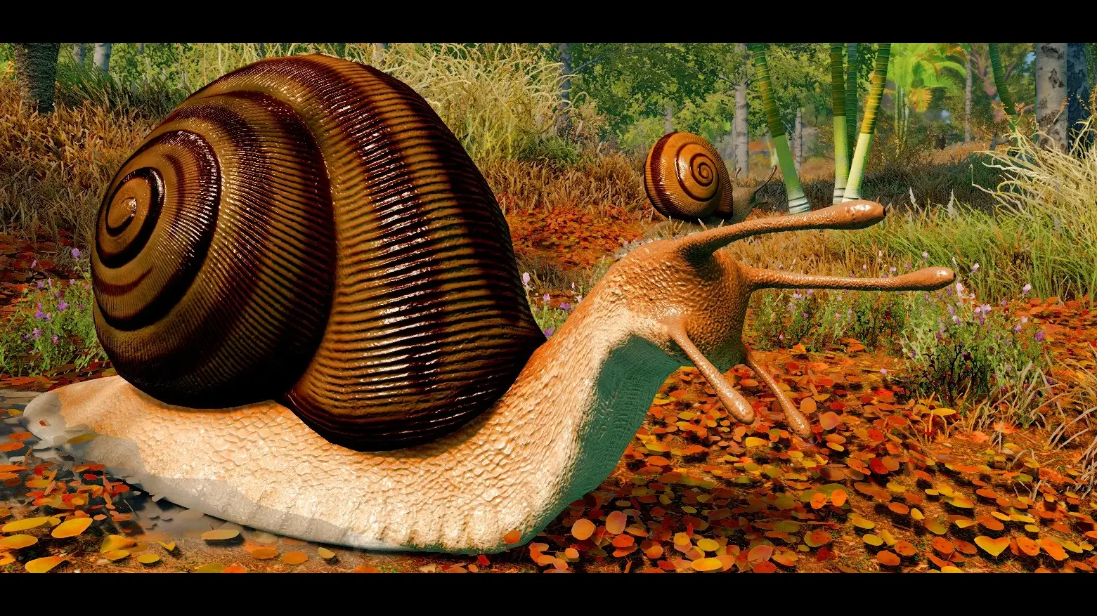 Giant Gastropods (Creature Series) mod for Skyrim