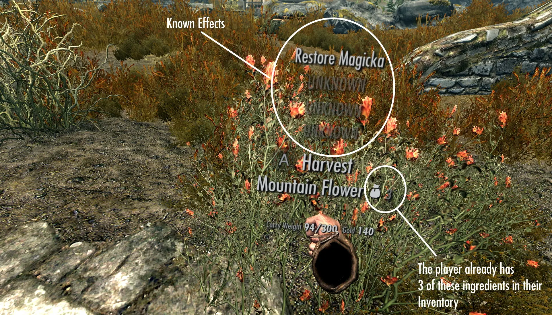 moreHUD VR mod for The Elder Scrolls V: Skyrim Special Edition