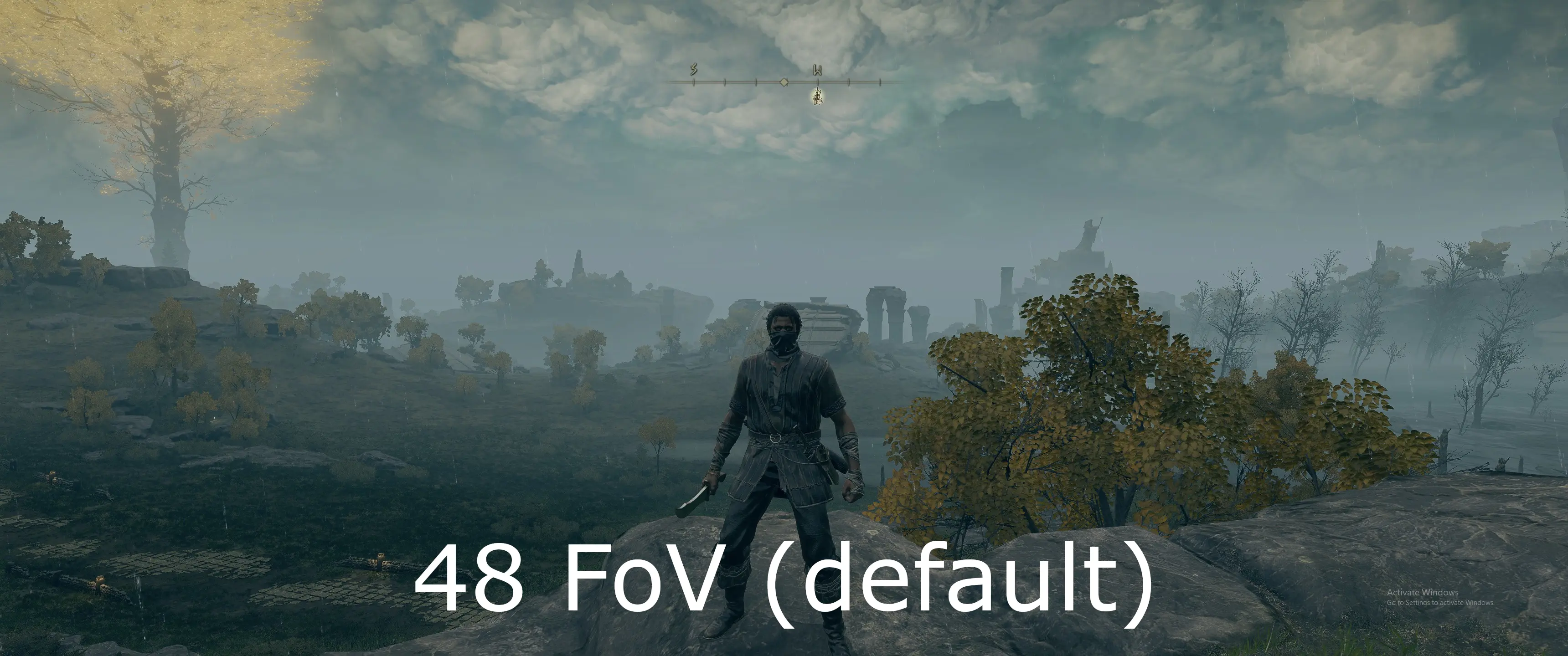 Adjust the field of view mod for Elden Ring