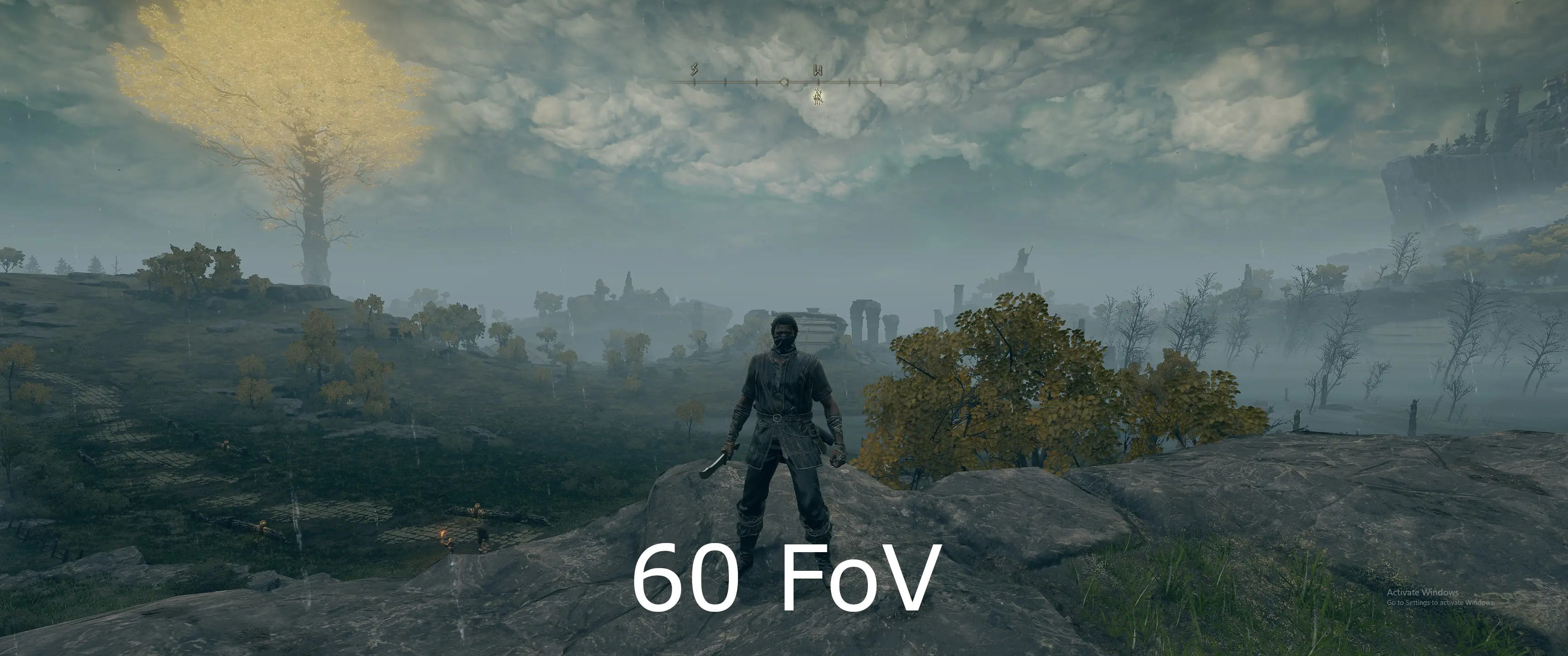 Adjust the field of view mod for Elden Ring